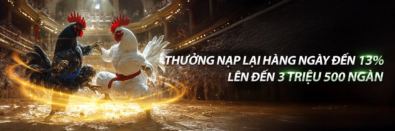 Đá Gà K9cc Link 2026 - Sân Chơi Trực Tuyến Hấp Dẫn